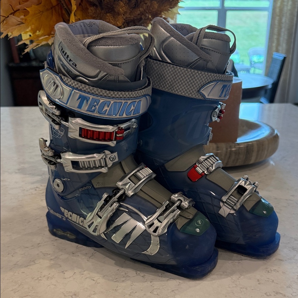 Tecnica Blue and Silver Ski Boots